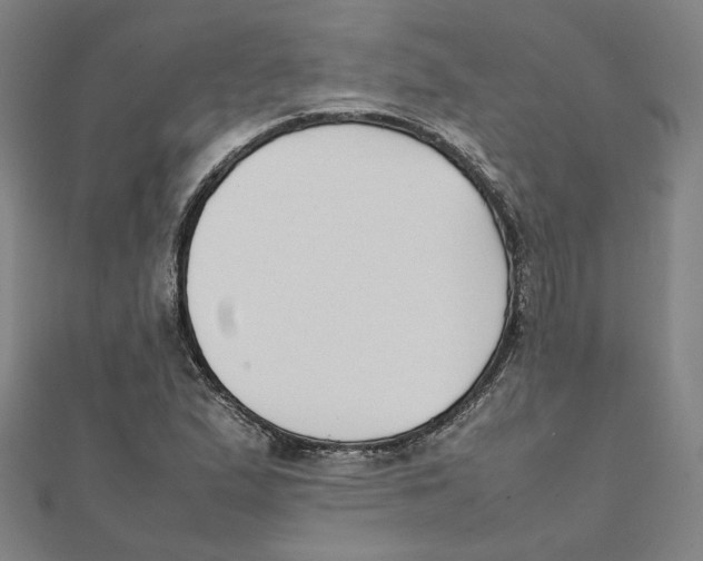 X0000111491167200908111217