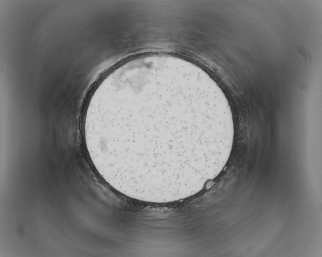 X0000111491168200908111217