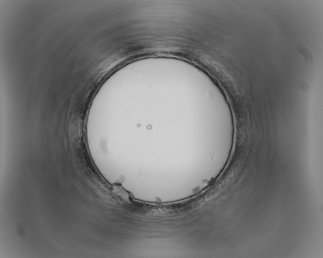 X0000111491169200908111217