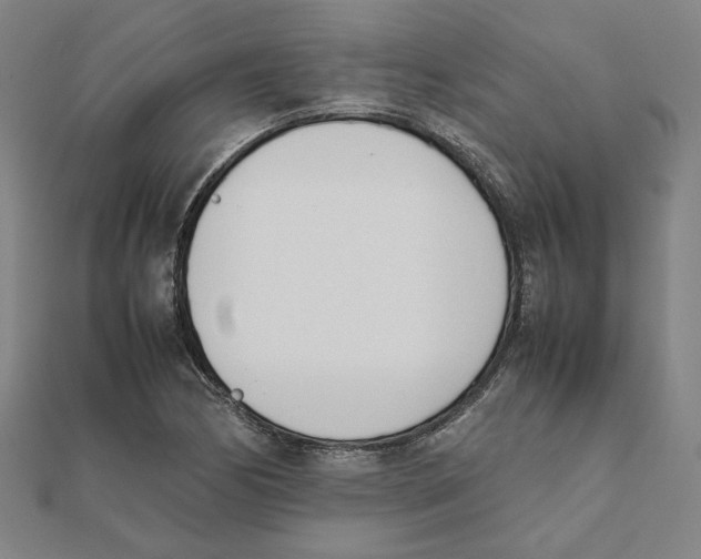 X0000111491170200908111217