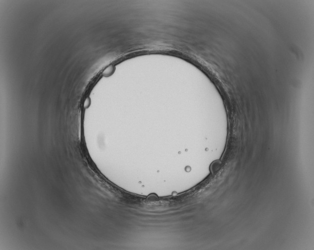 X0000111491171200908111217