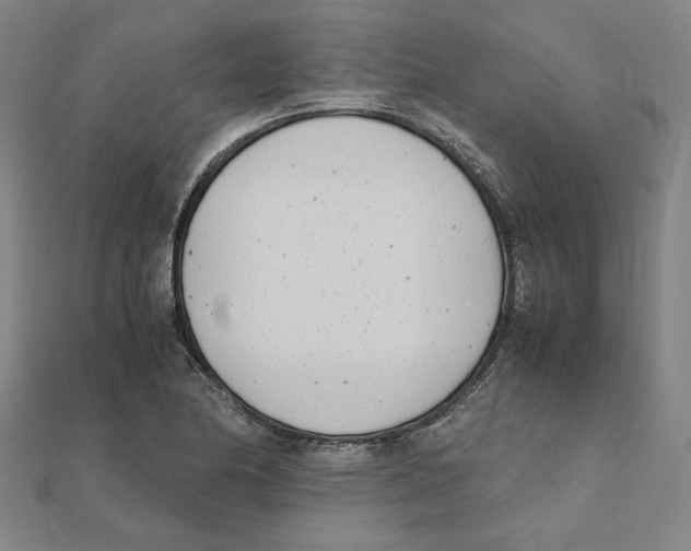 X0000111491174200908111217