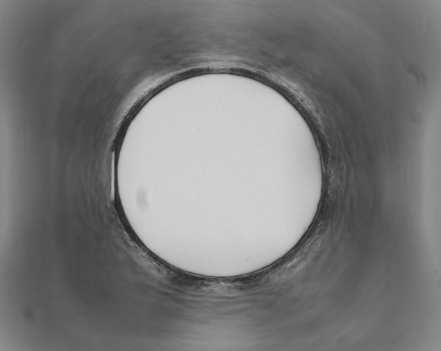 X0000111491175200908111217