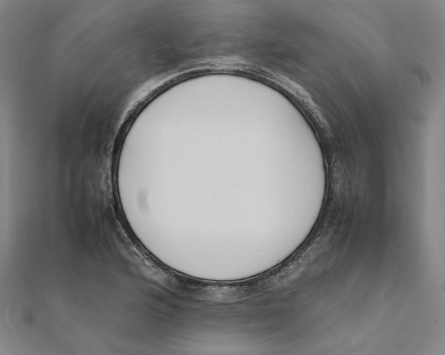 X0000111491176200908111217