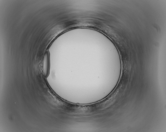 X0000111491177200908111217
