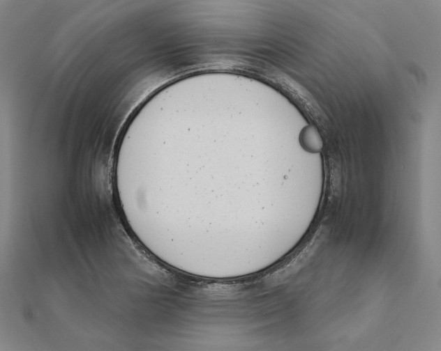 X0000111491178200908111217