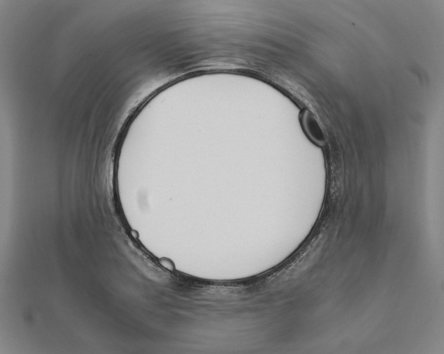 X0000111491179200908111217