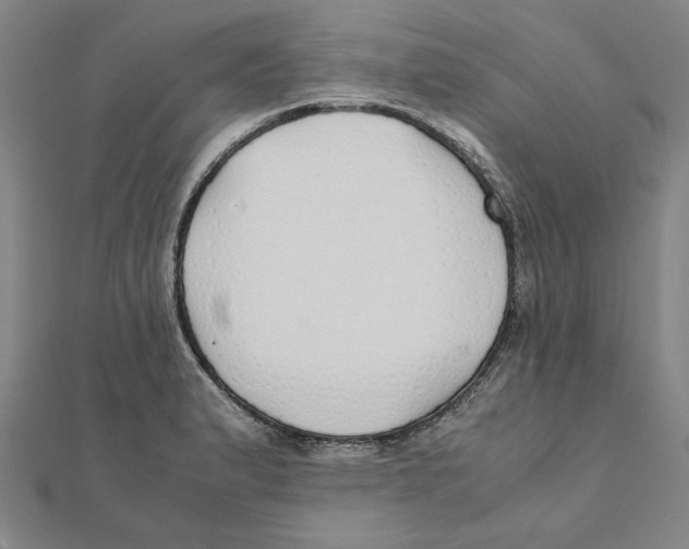 X0000111491183200908111217