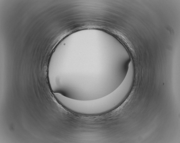 X0000111491185200908111217