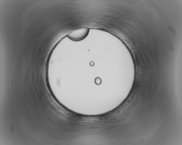 X0000111491187200908111217