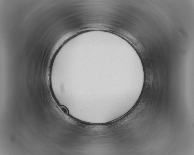 X0000111491188200908111217