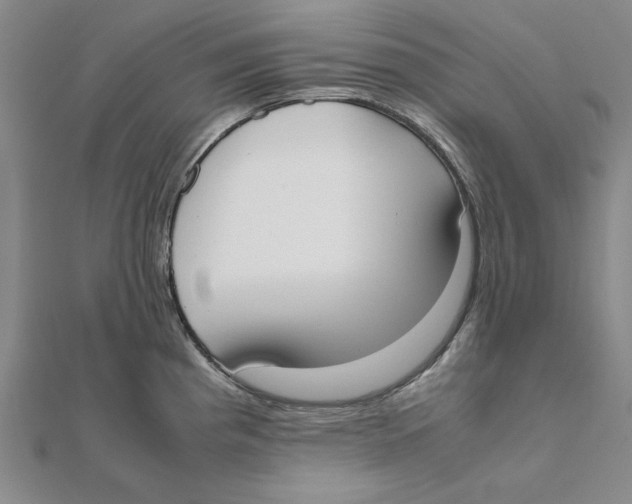 X0000111491193200908111217