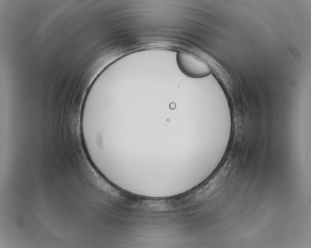 X0000111491194200908111217