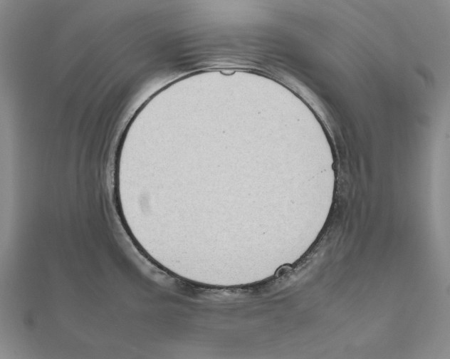 X0000111491195200908111217