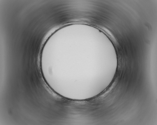 X0000111491196200908111217