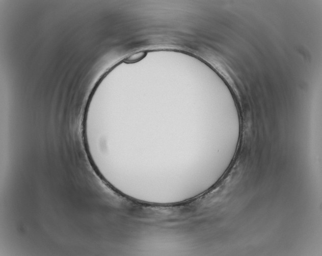 X0000111491197200908111217