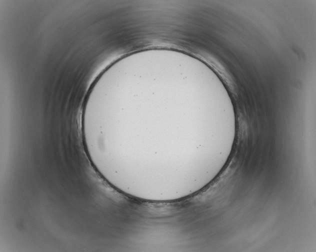X0000111491198200908111217