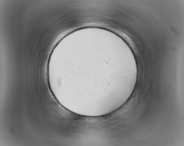 X0000111491199200908111217