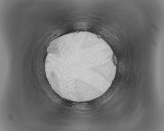 X0000111491201200908111216