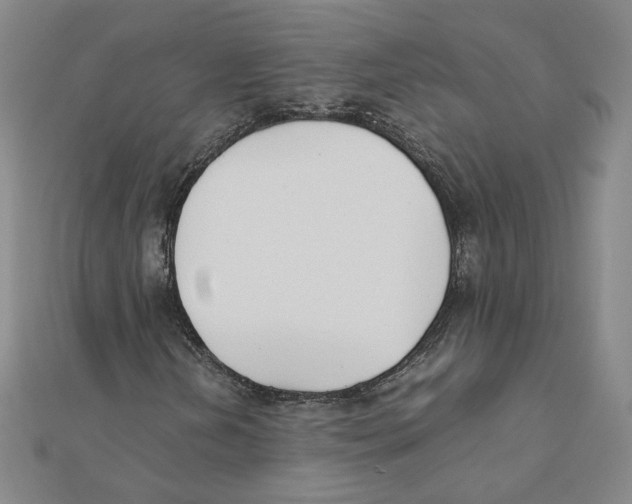 X0000111491202200908111216