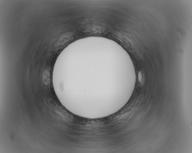 X0000111491203200908111216
