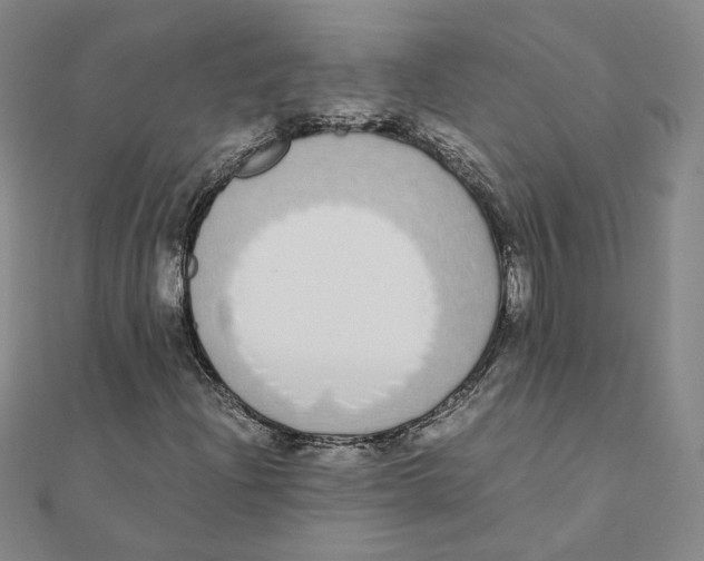 X0000111491204200908111216
