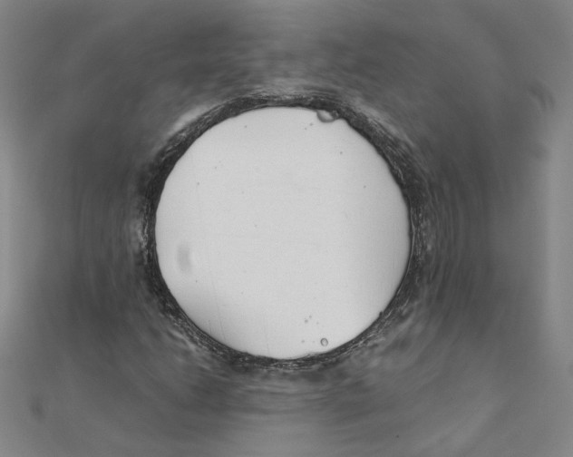 X0000111491206200908111216