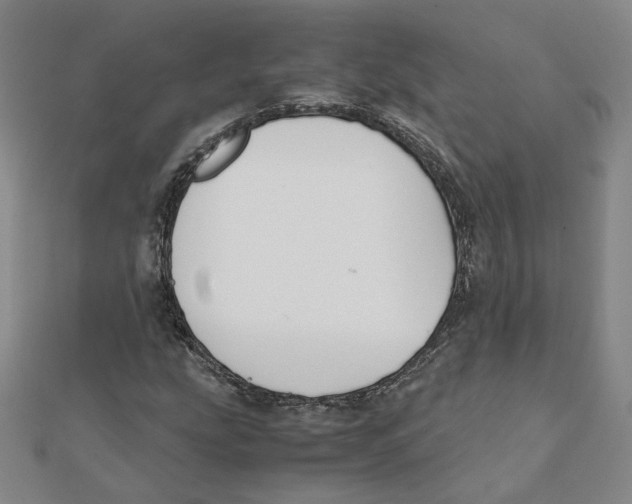 X0000111491207200908111216