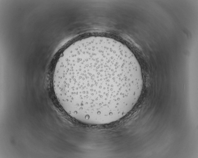 X0000111491208200908111216