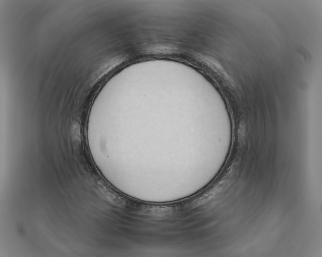 X0000111491209200908111216