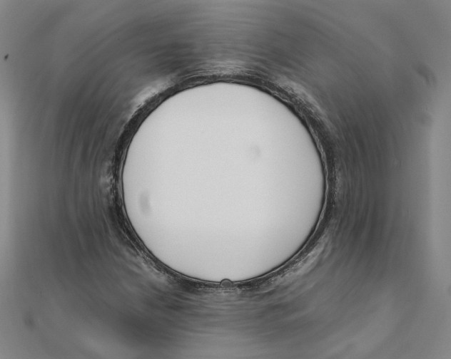 X0000111491210200908111216