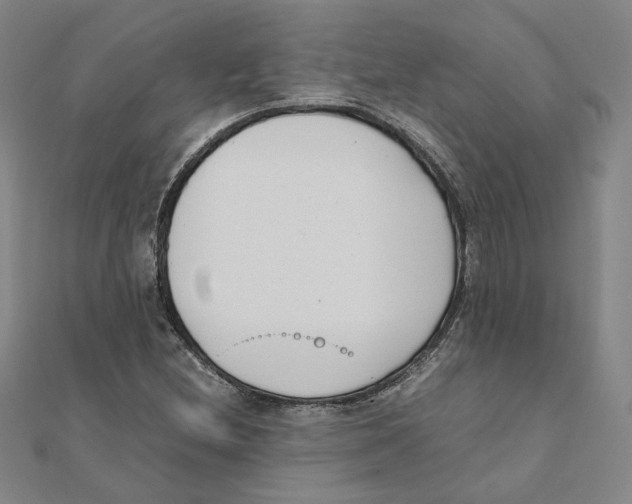 X0000111491212200908111216