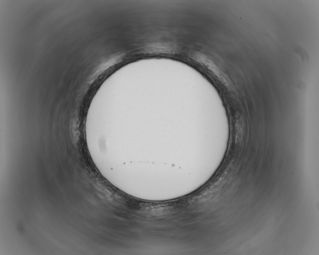 X0000111491213200908111216