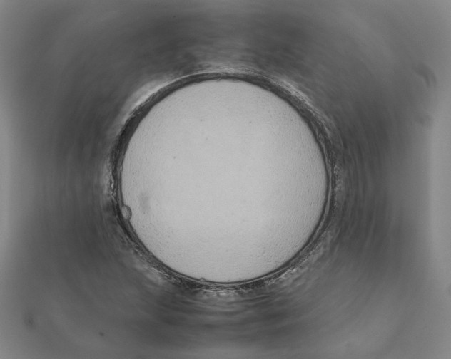 X0000111491215200908111216