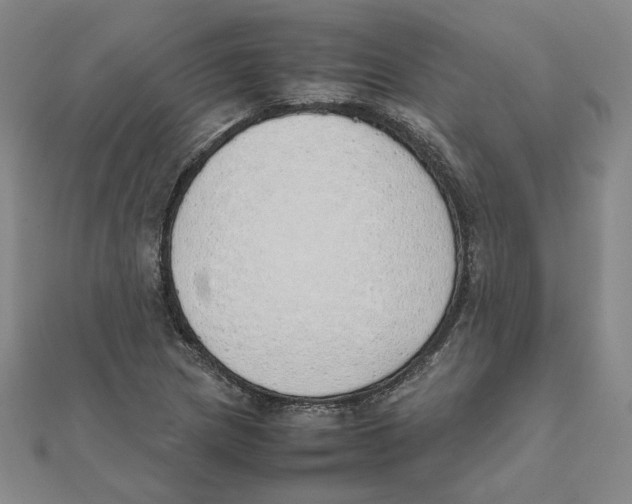 X0000111491217200908111216
