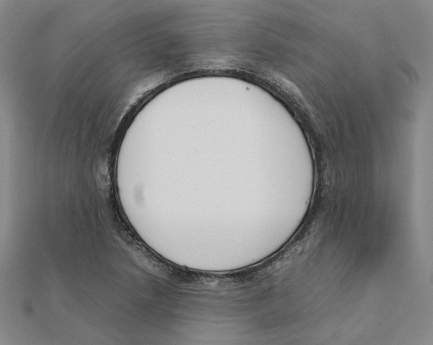 X0000111491218200908111216