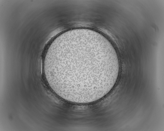 X0000111491219200908111216