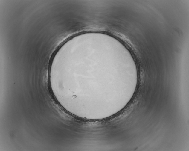 X0000111491220200908111216