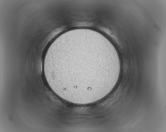 X0000111491221200908111216