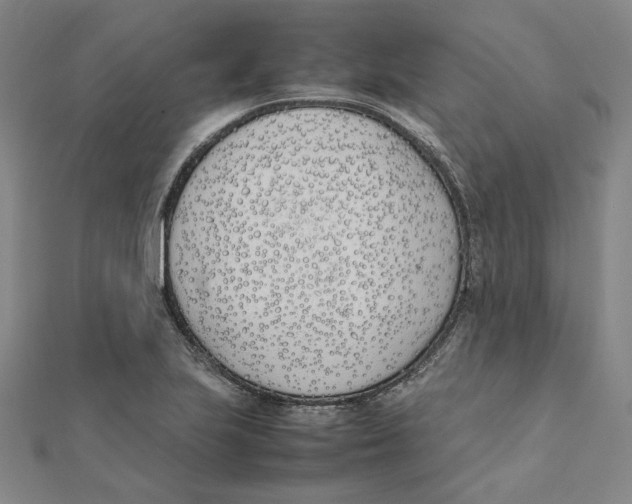 X0000111491223200908111216