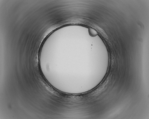 X0000111491226200908111217