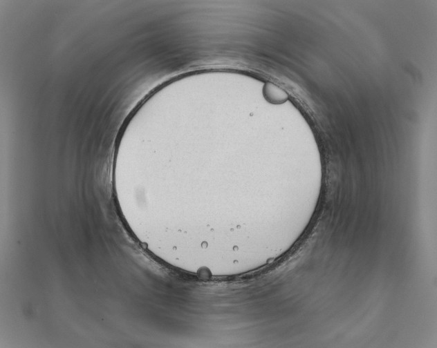 X0000111491228200908111217