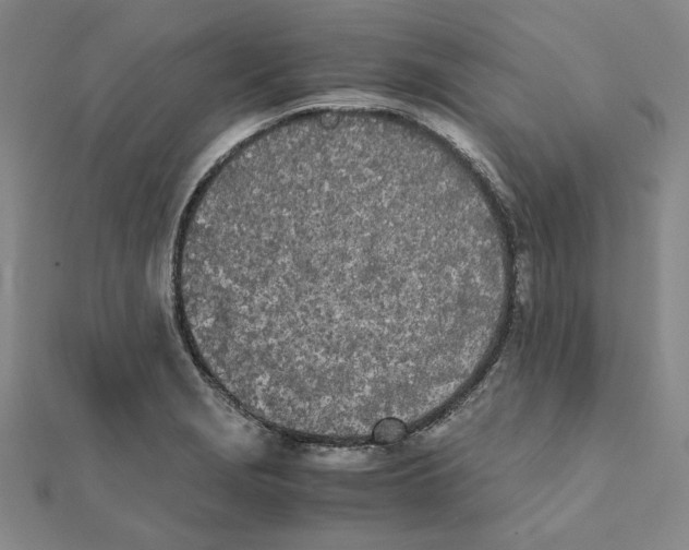 X0000111491229200908111217
