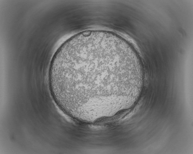 X0000111491231200908111217