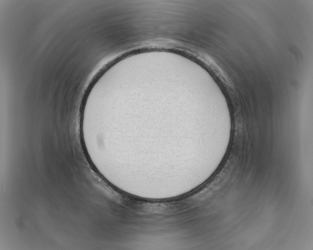 X0000111491232200908111217