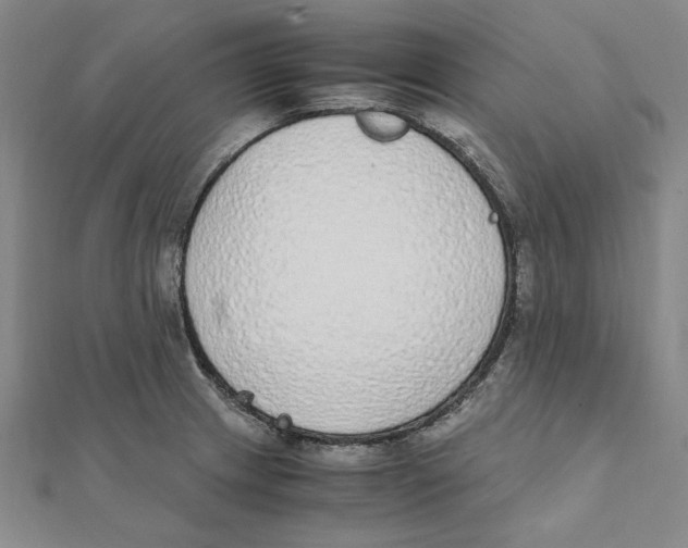 X0000111491233200908111217