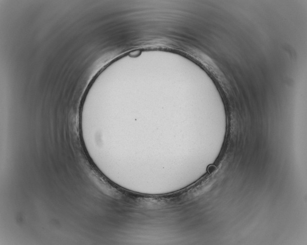 X0000111491234200908111217