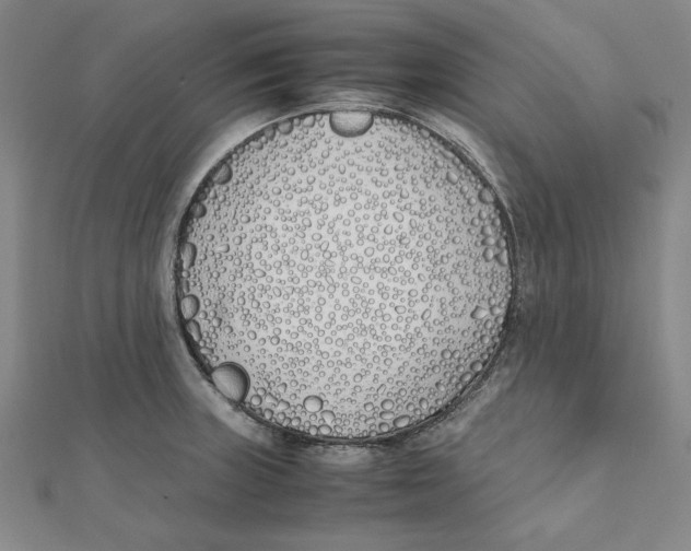 X0000111491235200908111217