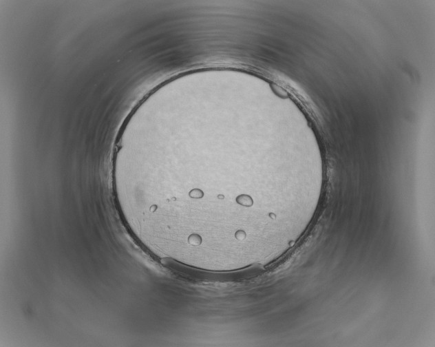 X0000111491236200908111217
