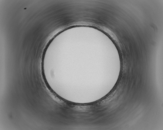 X0000111491237200908111217